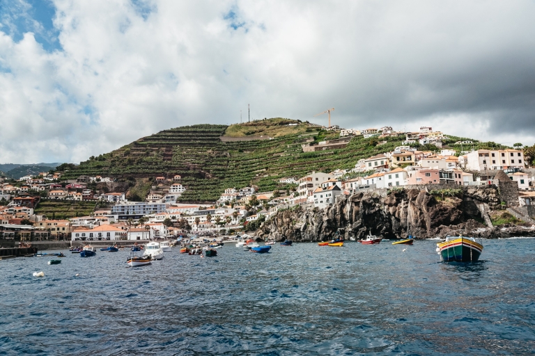 Zatoka Funchal: luksusowy rejs na wieloryby i delfiny