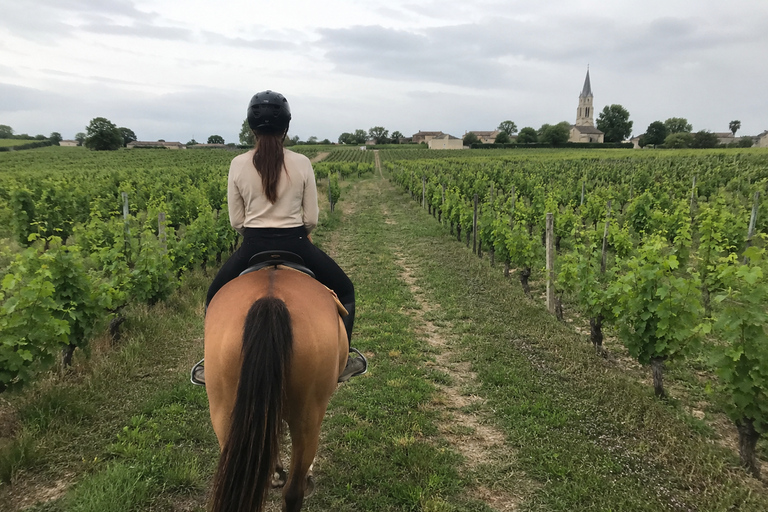 Bordeaux: Private Horse Ride in the Vineyards
