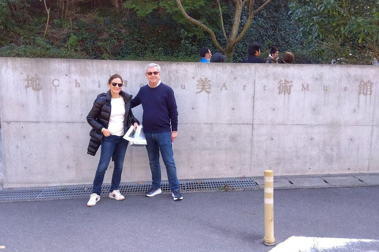 Naoshima FullDay Private Tour with Government-Licensed Guide