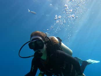 Chania:Prueba de buceo 2 inmersiones en tierra (Recibe la certificación)