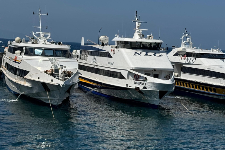 Excursão de inverno Nápoles: Bilhete de Ferry Boat para Amalfi e Positano - Excursão de inverno