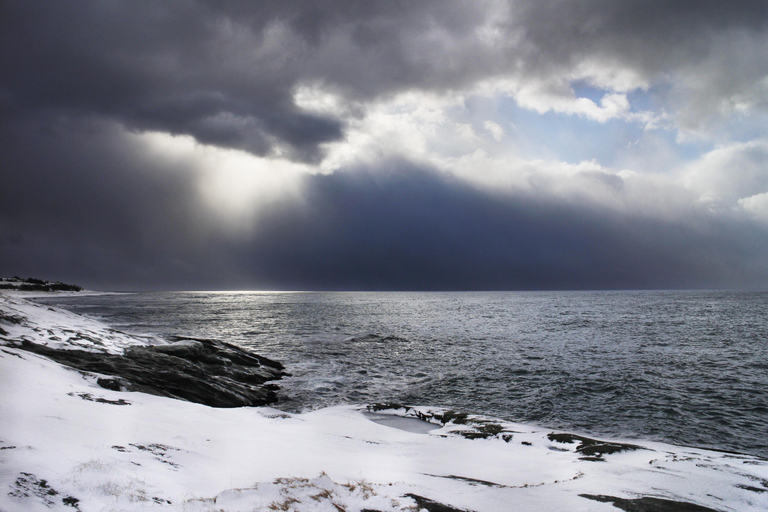 Tromsø: Fjord Adventure with Lunch and Photos Tromsø: Fjord Minibus Tour with Lunch and Free Photos