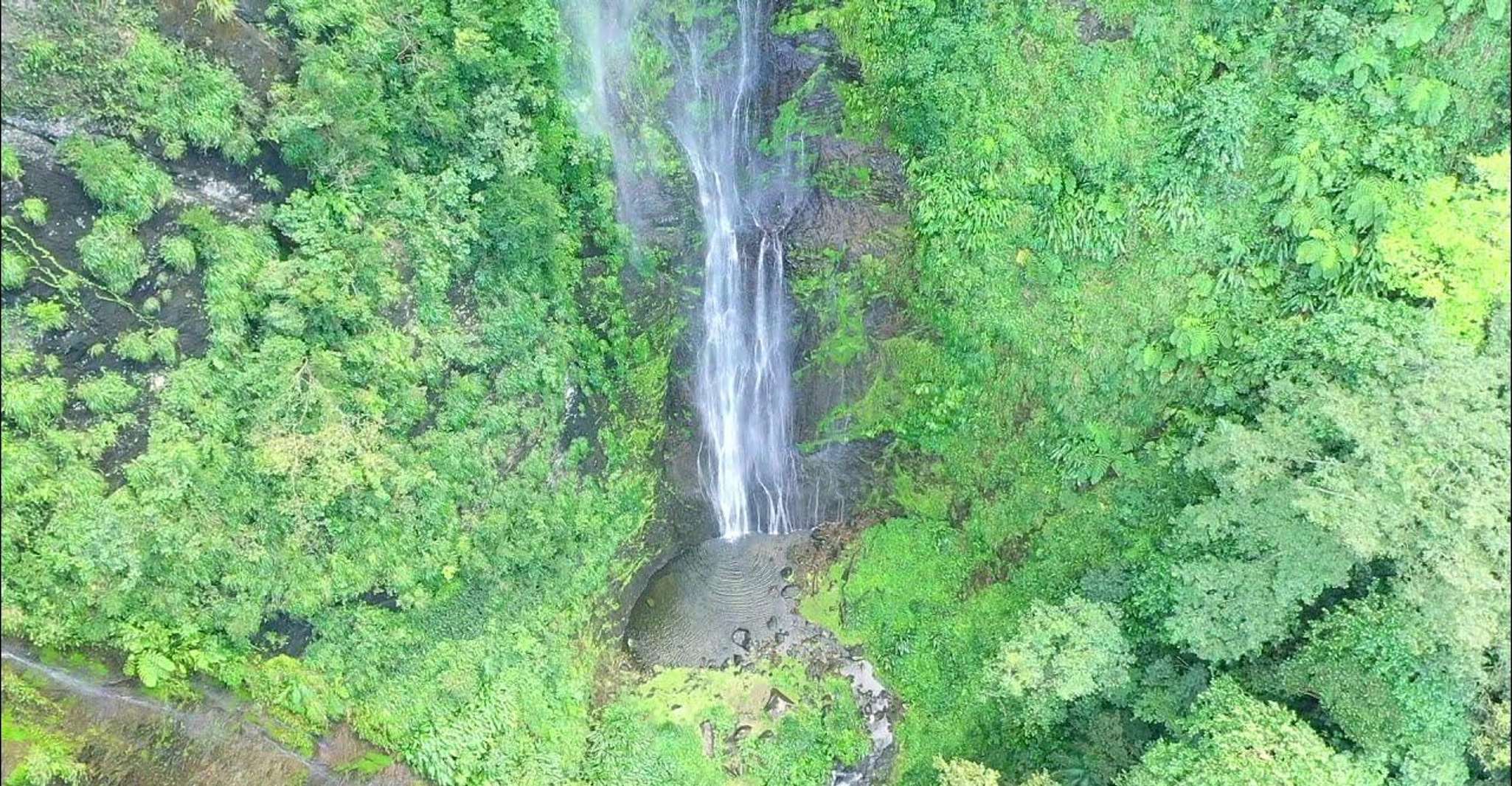 Hiking in the rainforest - Housity