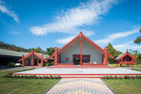 Desde Auckland Pueblo maorí de Rotorua y combinaciones de actividadesVisita y espectáculo en el pueblo maorí de Rotorua