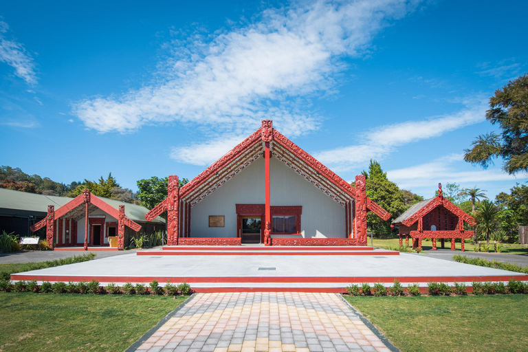 Desde Auckland Pueblo maorí de Rotorua y combinaciones de actividadesVisita y espectáculo en el pueblo maorí de Rotorua