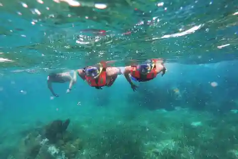 Puerto Morelos: Snorkel tour in reef with transportation