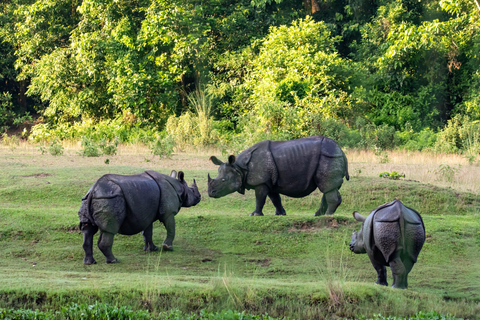 Chitwan National Park Tours: 3 Nights 4 days Full Package