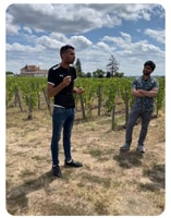 Saint-Émilion, Visit of a family vineyard & tasting - Housity