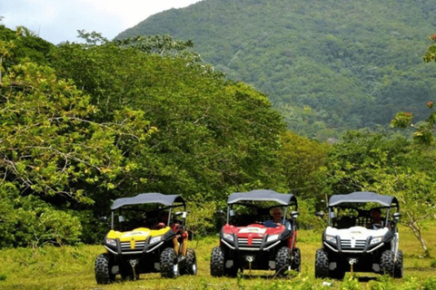 Punta Cana: Terracross Safari with Cenote Swim & Tastings