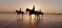 From Marrakech, Essaouira Full-Day Trip - Hizvo
