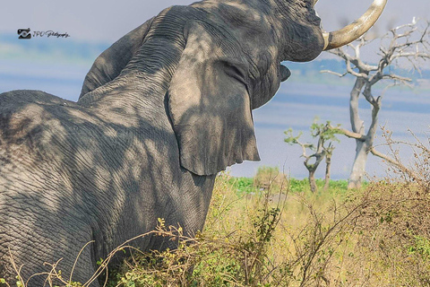 Uganda: 7-Day Wildlife & Primate Safari Adventure