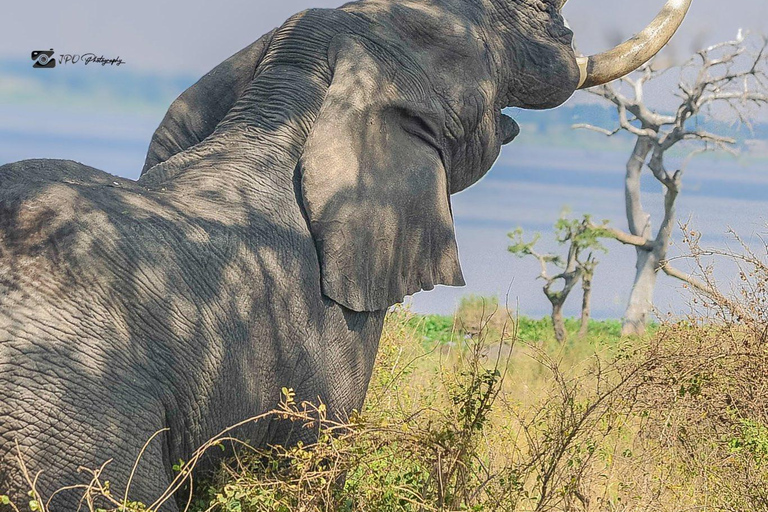 Uganda: 7-Day Wildlife & Primate Safari Adventure