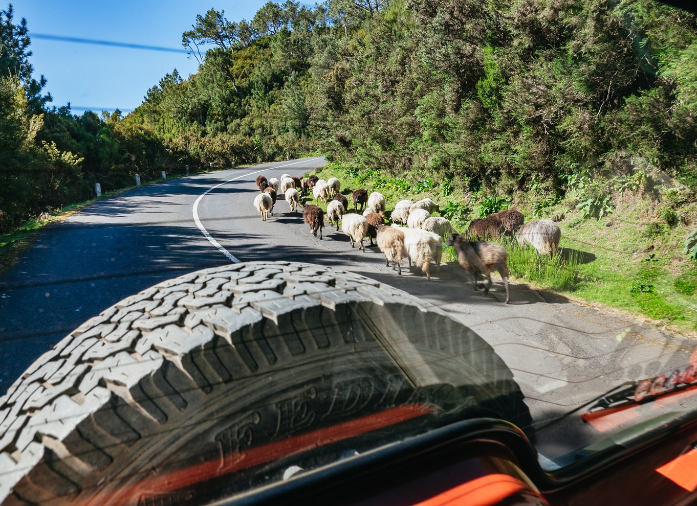 Madeira: Halvdagstur med jeep til Pico Arieiro