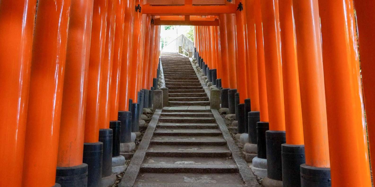 Kyoto experience — temples, geisha, bamboo grove — image 9