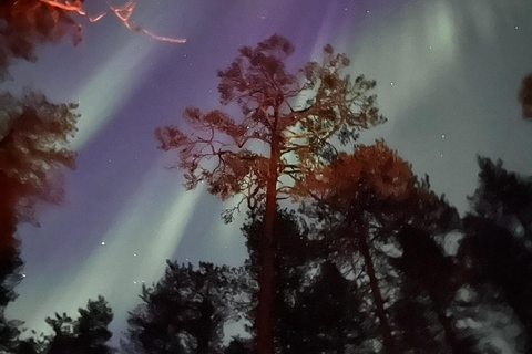 Saariselkä/Kakslauttanen: Private Aurora Hunt in Premium Car Saariselkä: Premium Northern Lights Car Hunt in Small Group