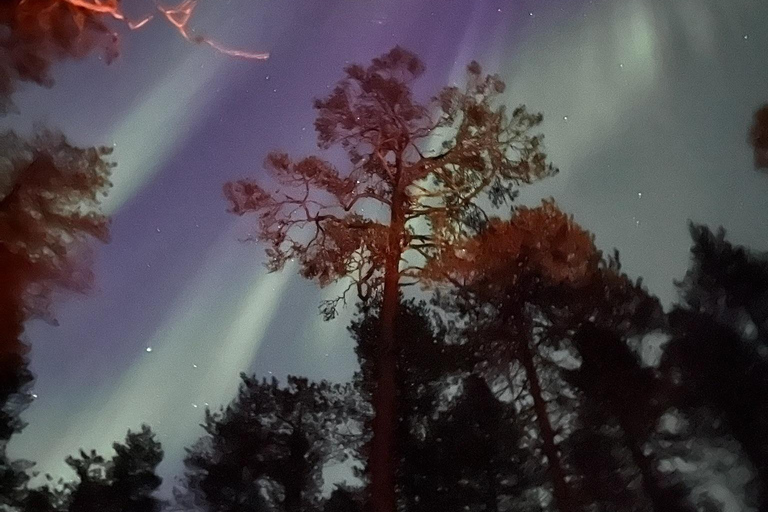 Saariselkä/Kakslauttanen: Private Aurora Hunt in Premium Car Saariselkä: Premium Northern Lights Car Hunt in Small Group