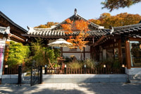 [Spring Beauty] Jeonju Hanok Village + The Plum Blossom - Housity