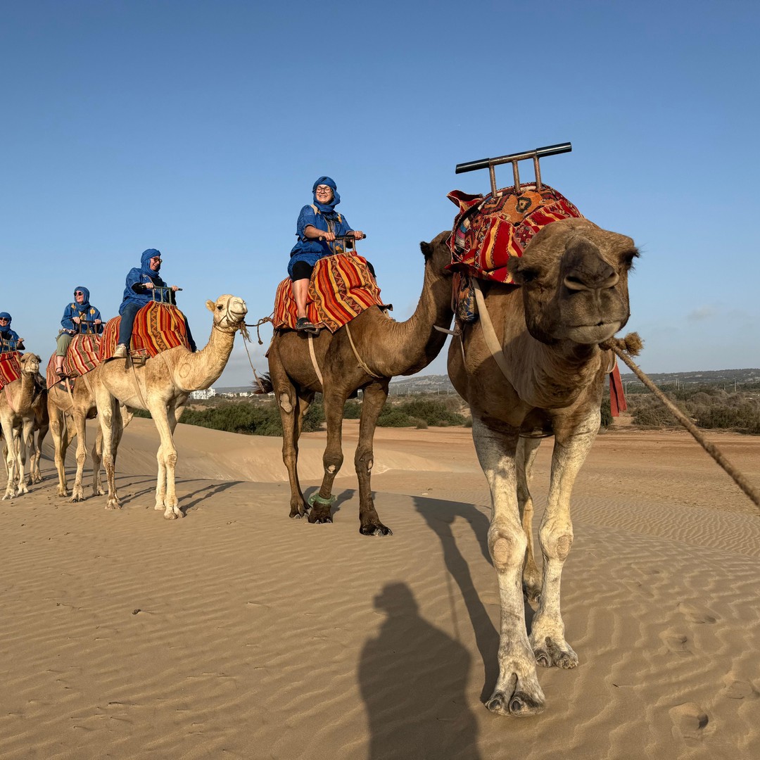 Essaouira : expérience de randonnée à dos de chameau