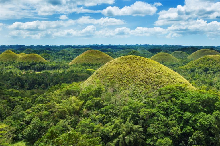 Depuis Cebu City : Les points forts de l'île de Bohol en une journéeExcursion d'une journée sur l'île de Bohol au départ de Cebu City