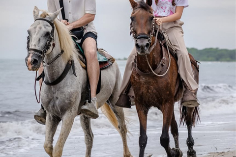 Santa Marta: Horseback Riding to the Valencia Waterfalls in Tayrona National Park