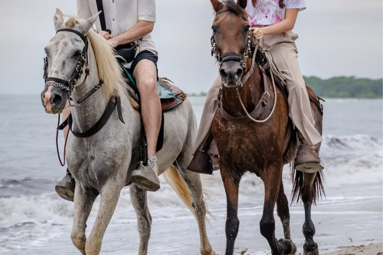 Santa Marta: Horseback Riding to the Valencia Waterfalls in Tayrona National Park