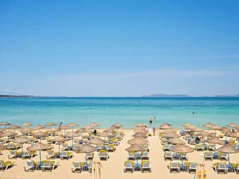 Izmir: Çeşme, Alaçatı, Seferihisar and Sığacık Tour