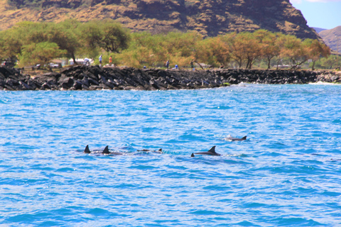 Waianae, Oahu: Swim with Dolphins (Semi-Private Boat Tour) Waianae, Oahu: Swim with Dolphins (6pax luxury power boat)