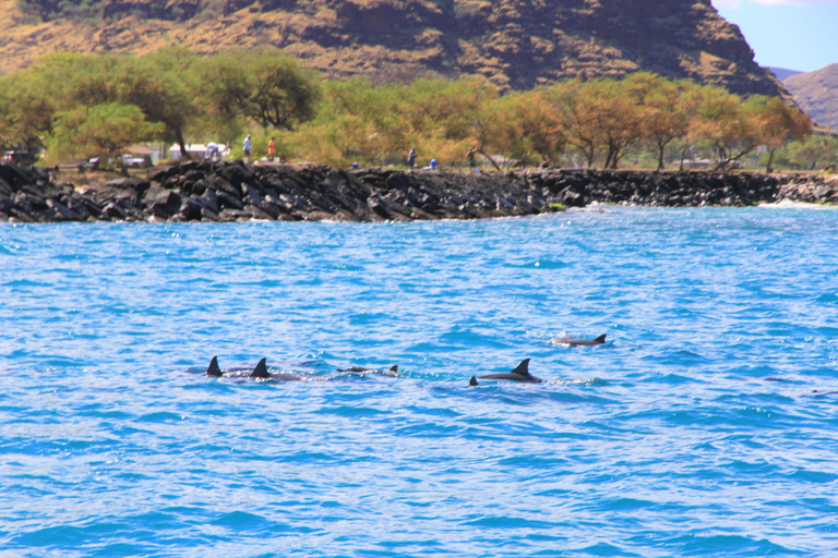 Waianae, Oahu: Swim with Dolphins (Semi-Private Boat Tour) Waianae, Oahu: Swim with Dolphins (6pax luxury power boat)