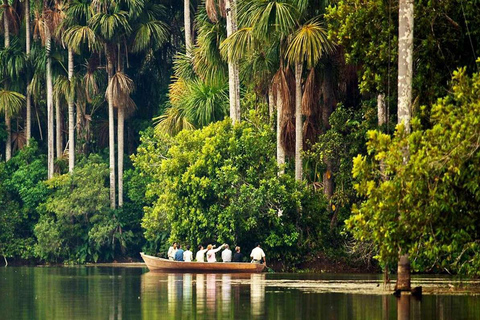 Ilha dos Macacos + Lago Sandoval 2D/1N