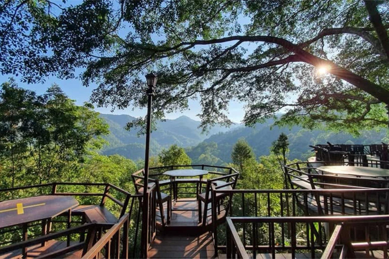 Chiang Mai: excursión de un día al Giant Café y al pueblo de Mae KampongChiang Mai: Excursión de un día al Café Gigante y al pueblo de Mae Kampong