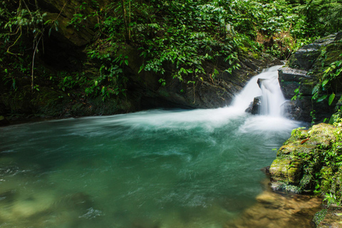 From São Paulo: Oyster Trail and My God Waterfall