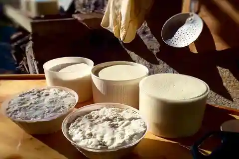 Burgos: Sardinian Pecorino Cheese Workshop