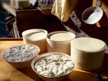 Burgos: Sardinian Pecorino Cheese Workshop