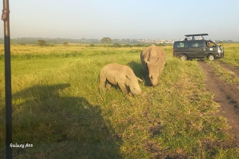 Safari por el Parque Nacional de Nairobi