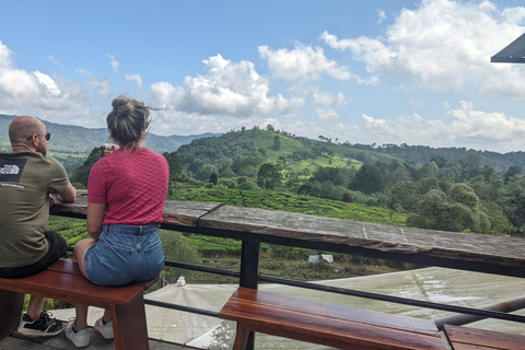 Bandung: White Crater, Scenic Tea Plantations & Hot Spring Open Tour: White Crater & Surroundings areas. with Tickets