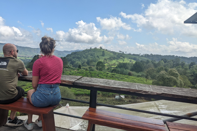 Bandung: White Crater, Scenic Tea Plantations & Hot Spring Open Tour: White Crater & Surroundings areas. with Tickets