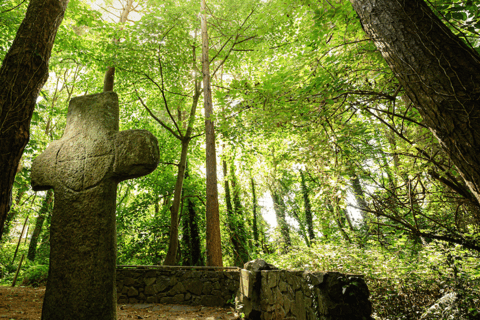 Wexford: Explore an Ancient Woodland with an Irish Witch