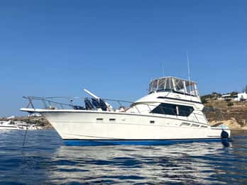 Daily and Weekly Cruises in the Athens Riviera and Saronic