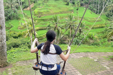 Ubud: Foresta di scimmie, terrazze di riso e cascateUbud: Foresta di scimmie, terrazza di riso e cascata