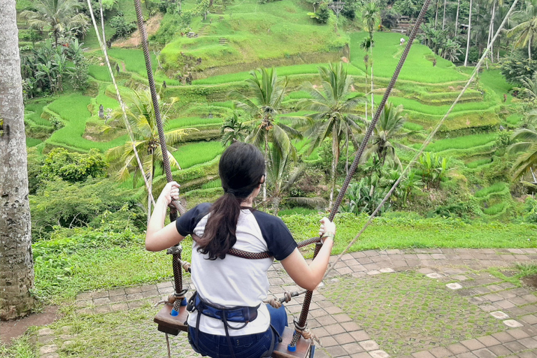 Ubud: Foresta di scimmie, terrazze di riso e cascateUbud: Foresta di scimmie, terrazza di riso e cascata