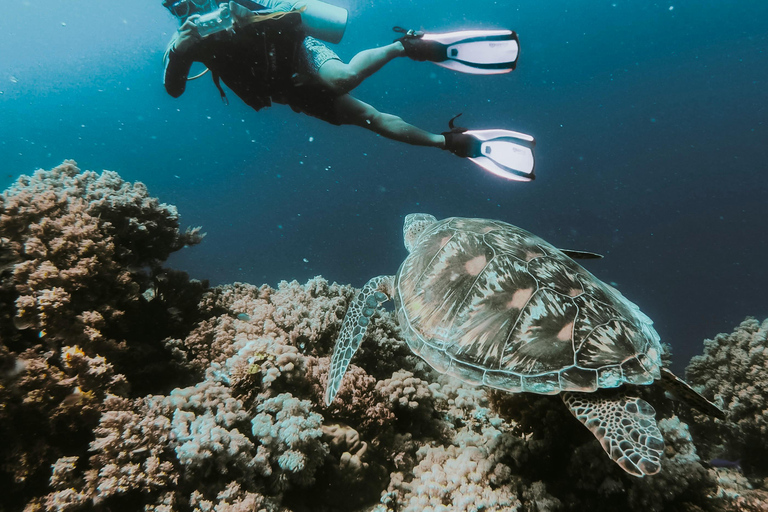 Tanzania: tour di 7 giorni della fauna selvatica e della romantica isola di Zanzibar