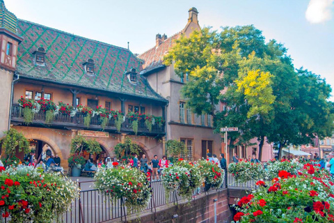 From Strasbourg: Discover Colmar and the Alsace wine route