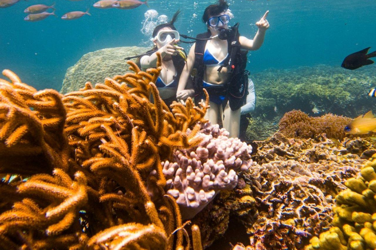 Da Nang/Hoi An: Cham Islands Snorkeling or Scuba Diving Diving in Cham Islands with an instructor