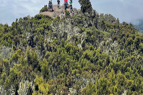 Machame Route: Kilimandscharo-Besteigung (7-Tage)