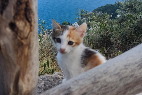 Sorrento Coast: Discover Hidden Gems by Vespa with a Buddy