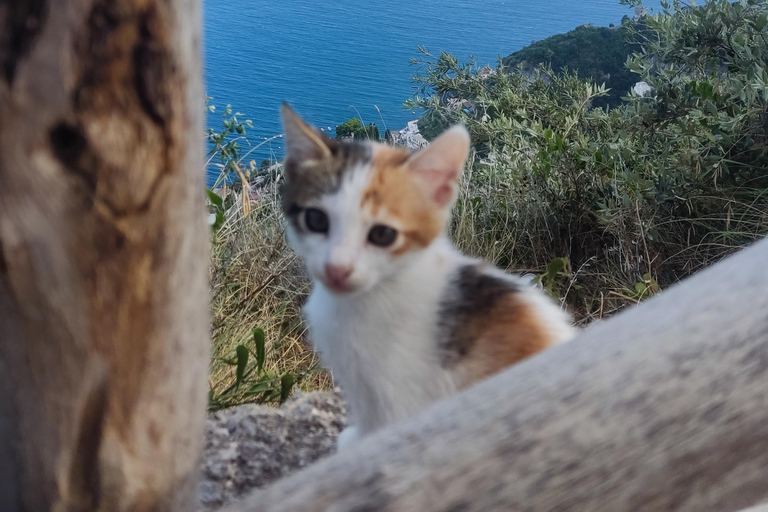 Sorrento Coast: Discover Hidden Gems by Vespa with a Buddy