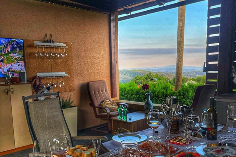 Ljubljana: Wine tasting tour