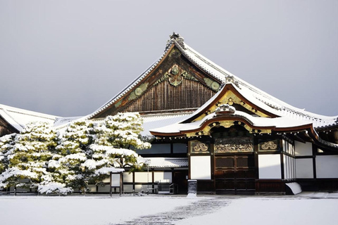 Kyoto/Osaka: Nijo Castle, Arashiyama, Kinkakuji Day Tour Kyoto Full Day Tour | Depart from Kyoto 9:00 AM