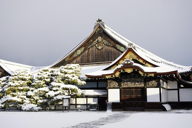 Kyoto/Osaka: Nijo Castle, Arashiyama, Kinkakuji Day Tour Kyoto Full Day Tour | Depart from Kyoto 9:00 AM