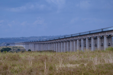 Nairobi: National Park Game Drive with Local Guide